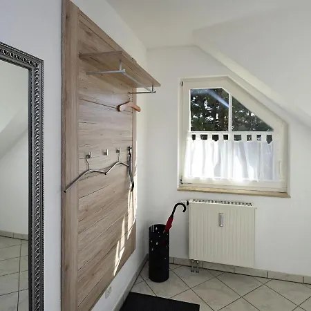 Modern In With Forest Nearby